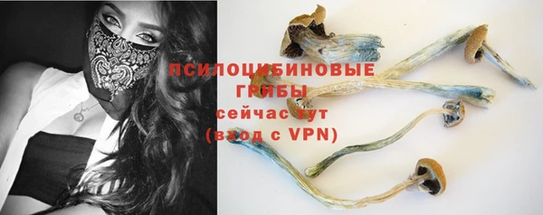 a pvp Богородицк