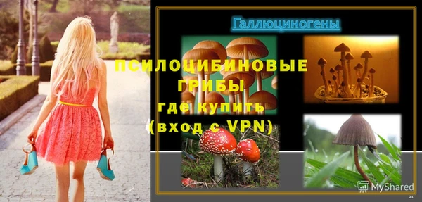MDMA Богородск