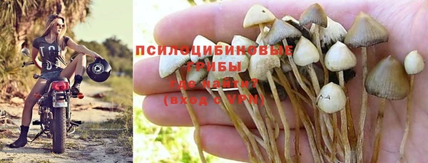 a pvp Богородицк