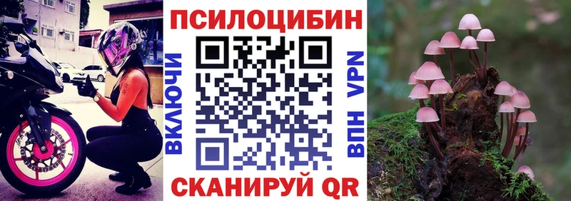 купить наркоту  Оха  Псилоцибиновые грибы Psilocybine cubensis 